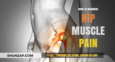 Diagnosing Hip Muscle Pain: A Comprehensive Guide to Identifying Causes
