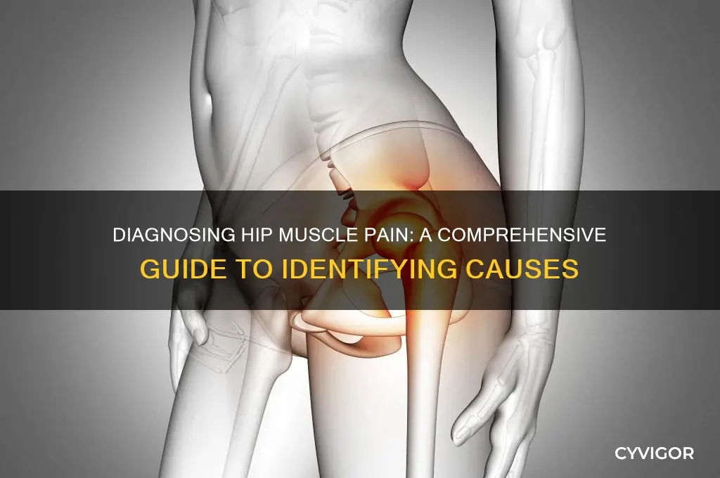 how to diagnose hip muscle pain
