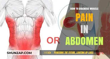 Diagnosing Abdominal Muscle Pain: A Comprehensive Guide to Identifying Causes
