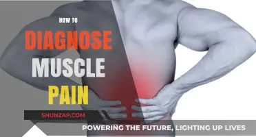 Diagnosing Muscle Pain: A Comprehensive Guide to Identifying Causes