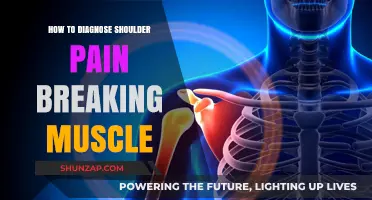 Diagnosing Shoulder Pain: Identifying Muscle Injuries and Effective Treatment