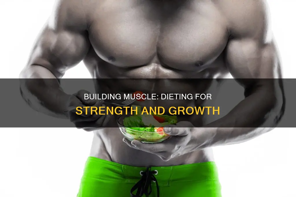 how to diet for muscle