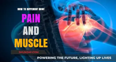 Distinguishing Bone Pain vs. Muscle Pain: Essential Tips for Accurate Identification