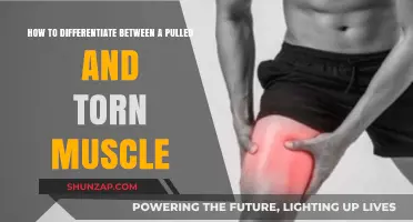 Pulled vs. Torn Muscle: Key Differences and Symptoms Explained