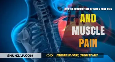 Bone Pain vs. Muscle Pain: Key Differences and Symptoms Explained