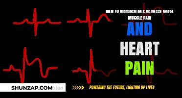 Chest Muscle Pain vs. Heart Pain: Key Differences to Know