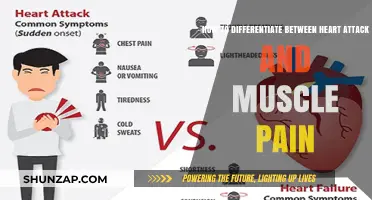 Heart Attack or Muscle Pain: Key Symptoms to Spot the Difference