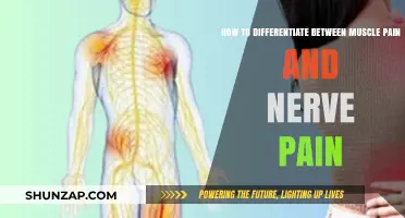 Muscle Pain vs. Nerve Pain: Key Differences and Symptoms Explained