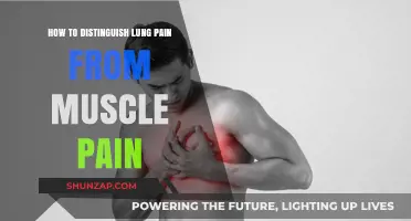 Lung Pain vs. Muscle Pain: Key Differences and Symptoms to Identify
