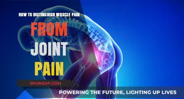 Muscle vs. Joint Pain: Key Differences and How to Identify Them