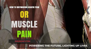 Sciatic Pain vs. Muscle Pain: Key Differences and How to Tell