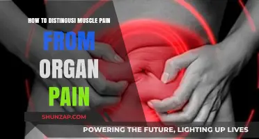 Muscle Pain vs. Organ Pain: Key Differences and Symptoms to Watch