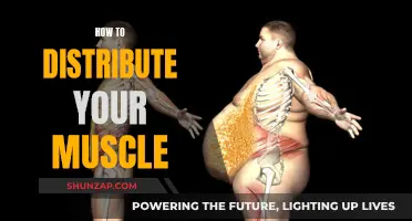 Distributing Muscles: Achieving a Balanced Physique