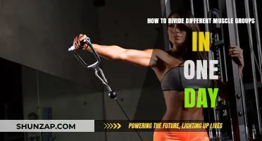 Effective Muscle Group Splits for Maximizing One-Day Workouts