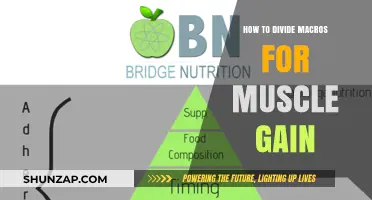 Mastering Macro Division: Fuel Your Muscle Gain Effectively