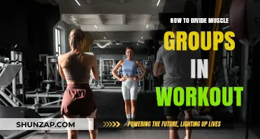 Effective Muscle Group Splits: Maximize Gains with Smart Workout Division