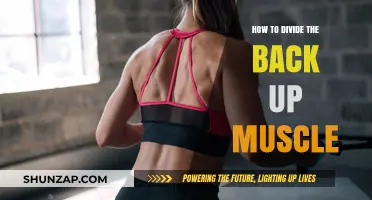 Effective Strategies to Strengthen and Tone Your Back Muscles
