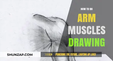 Mastering Arm Muscle Anatomy: A Step-by-Step Drawing Guide