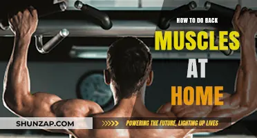 Strengthen Your Back: Effective Home Workouts for Muscle Building