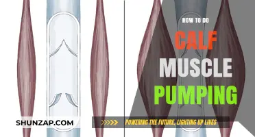 Effective Calf Muscle Pumping Techniques for Fitness Enthusiasts