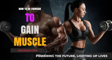 Effective Muscle-Building Workouts: Strategies for Strength and Size Gains