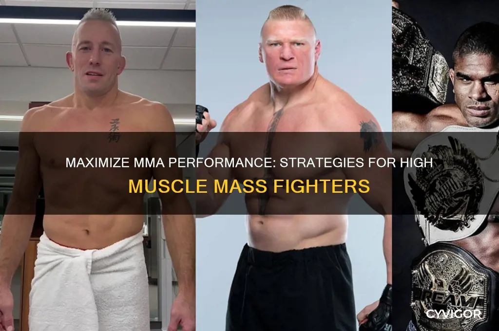 how to do good in mma at high muscle mass