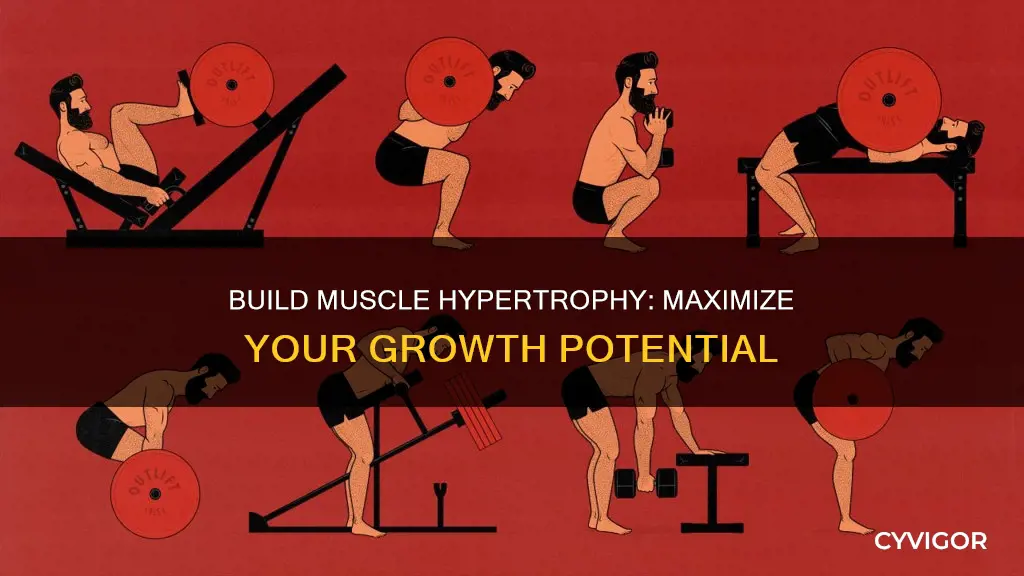 how to do muscle hypertrophy