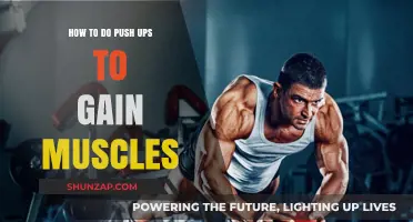 Master Push-Up Techniques for Effective Muscle Building and Strength