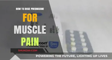 Effective Prednisone Dosing Strategies for Managing Muscle Pain Relief