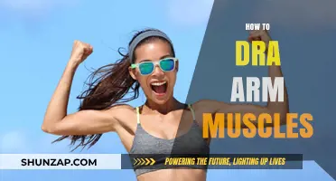 Mastering Arm Muscle Definition: Effective Techniques for Toned Arms