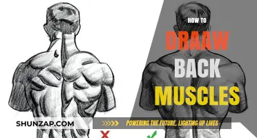 Anatomy of Strength: Mastering the Art of Drawing Back Muscles