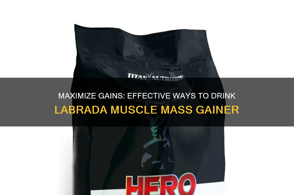 how to drink labrada muscle mass gainer