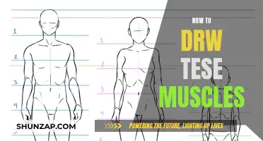 Drawing Muscles: A Step-by-Step Guide to Mastery