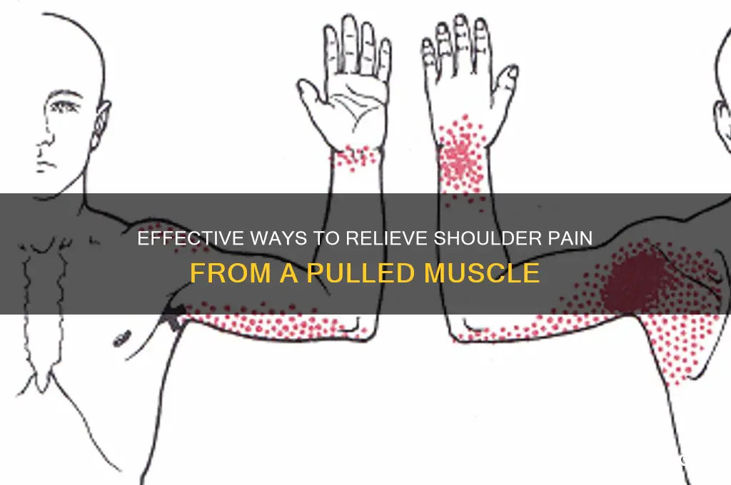 how to ease a pulled muscle in shoulder