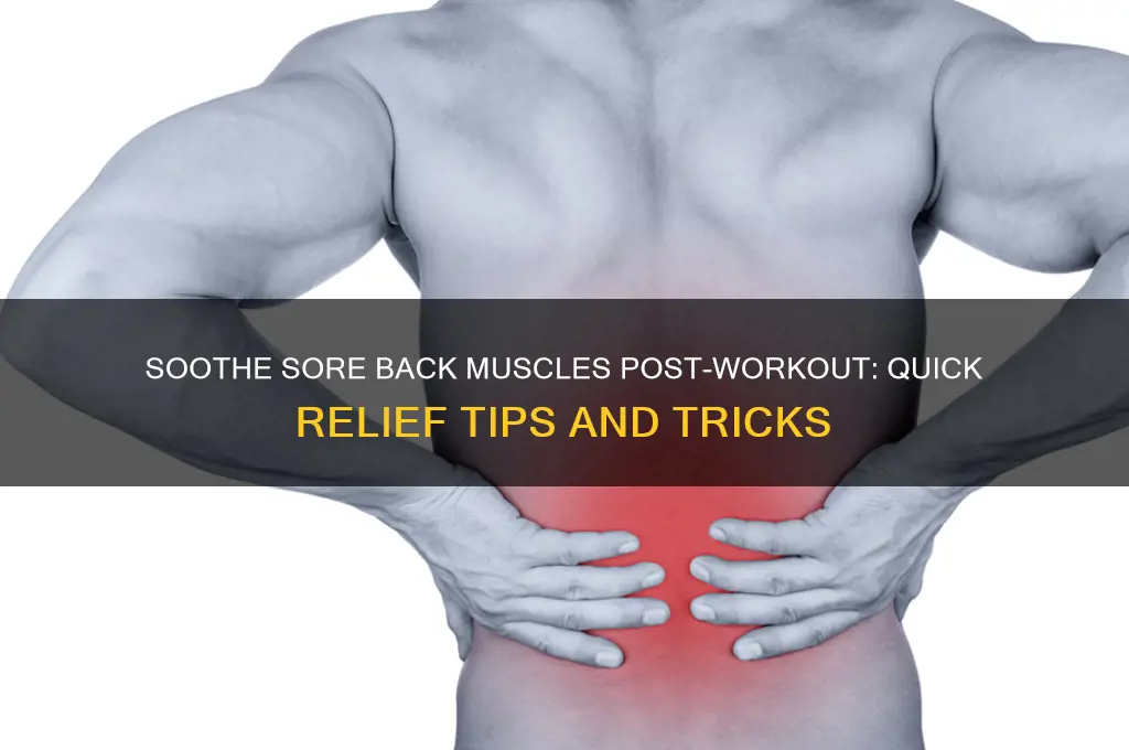 how to ease back muscle pain after a hard wokrout