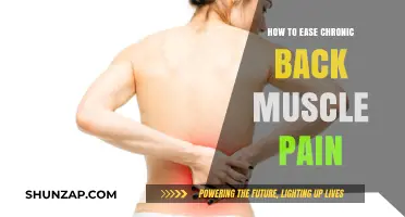 Alleviating Chronic Back Muscle Pain: Effective Strategies for Relief