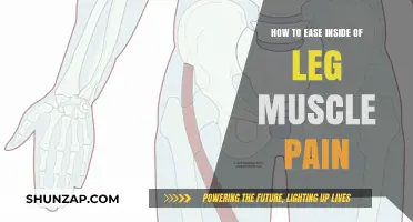 Effective Ways to Relieve Inner Thigh Muscle Pain and Discomfort