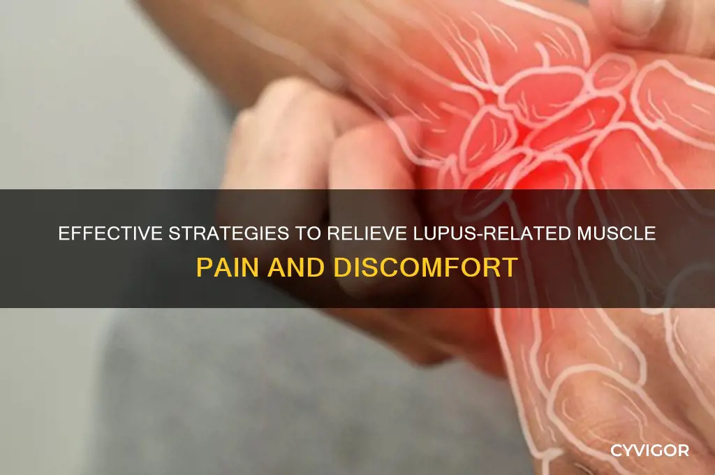 how to ease muscle pain from lupus