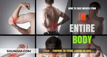 Effective Strategies to Relieve Full-Body Muscle Pain and Discomfort