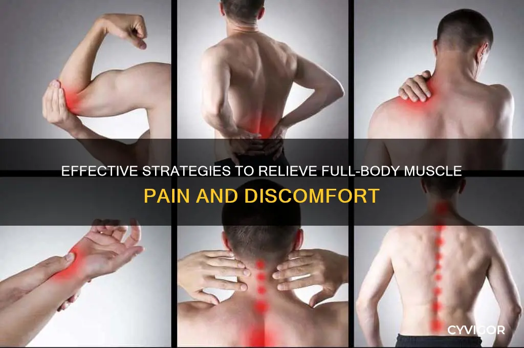 how to ease muscle pain in entire body