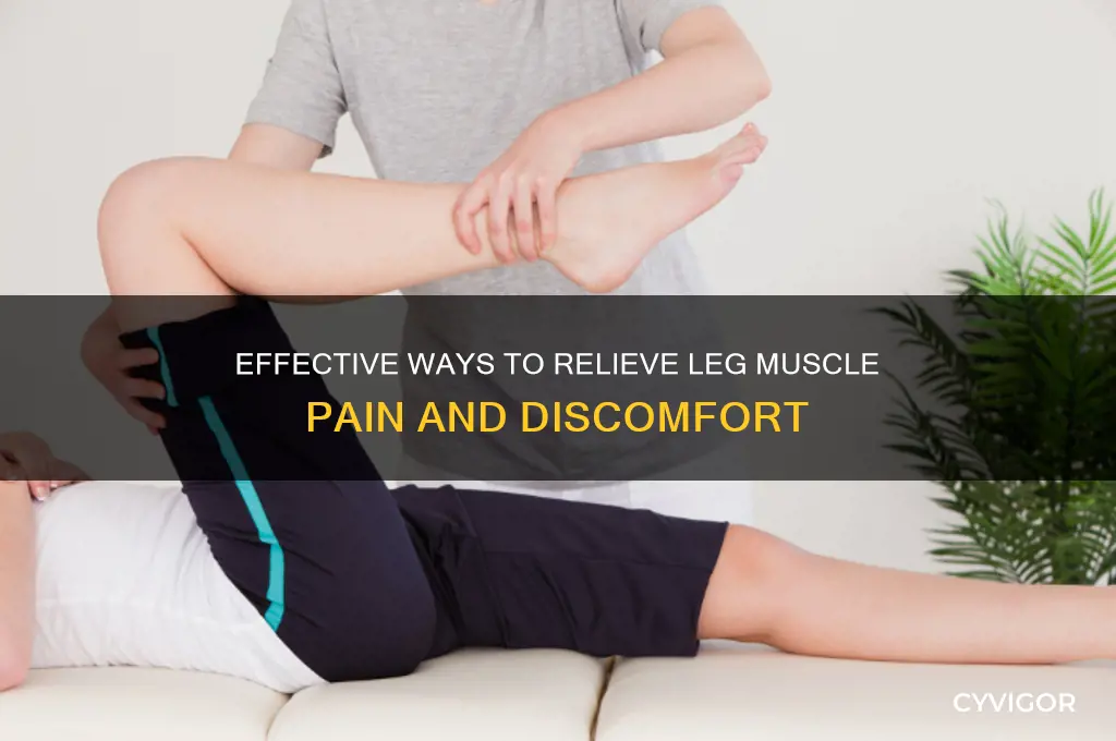 how to ease muscle pain in legs