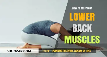 Relieve Lower Back Tension: Effective Stretches and Remedies