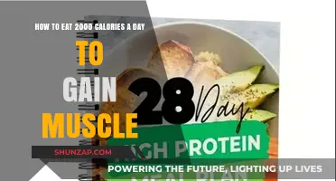 Fuel Your Muscle Growth: A 2000-Calorie Daily Meal Plan Guide