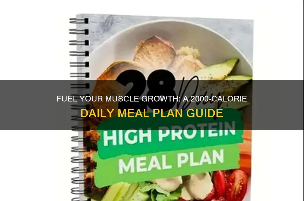 how to eat 2000 calories a day to gain muscle