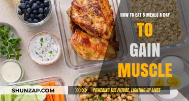 Maximize Muscle Growth: 5-Meal Daily Eating Strategy Guide