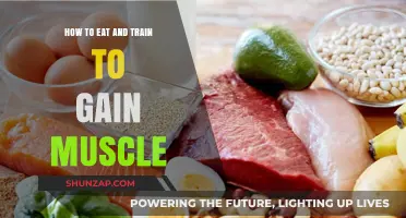Fuel Your Gains: Muscle-Building Nutrition and Training Strategies