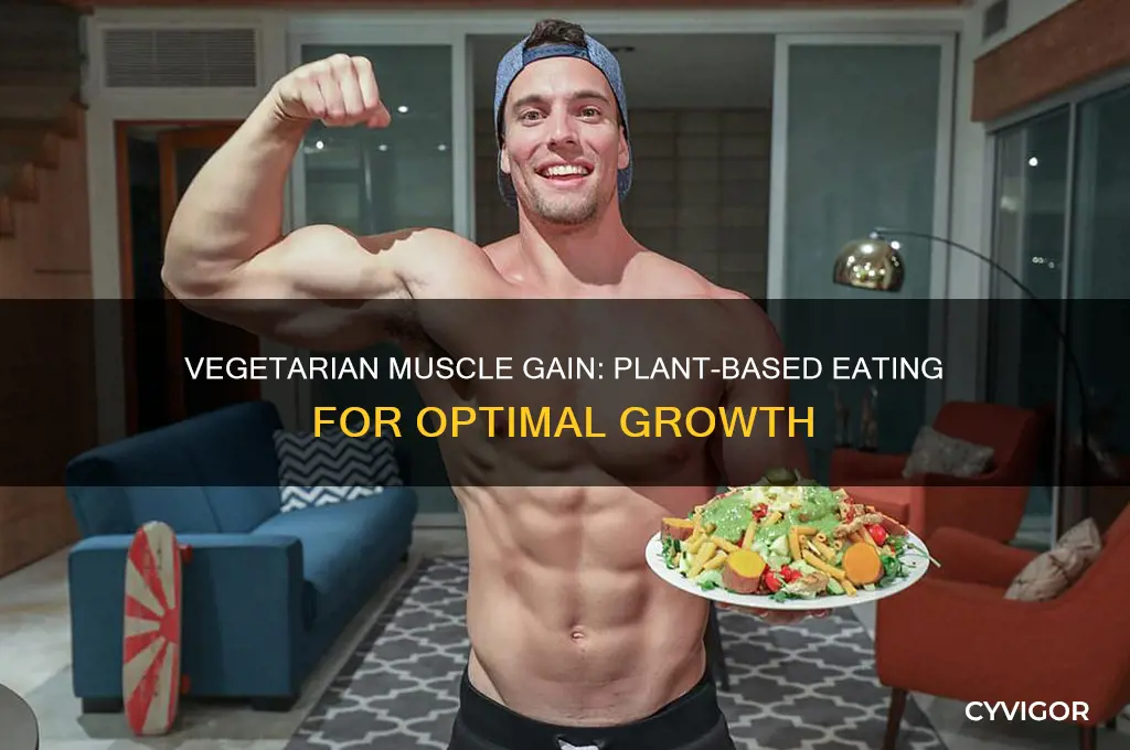 how to eat for muscle gain growth for vegitarians