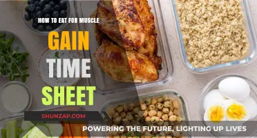Maximize Muscle Growth: Timing Your Meals for Optimal Gains