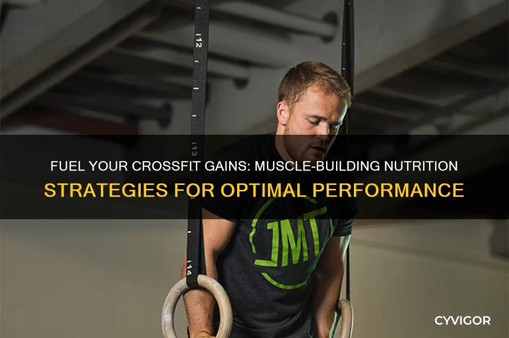 how to eat healthy to gain muscle when roing crossfit