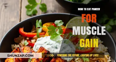 Paneer Power: Maximizing Muscle Gain with High-Protein Cheese